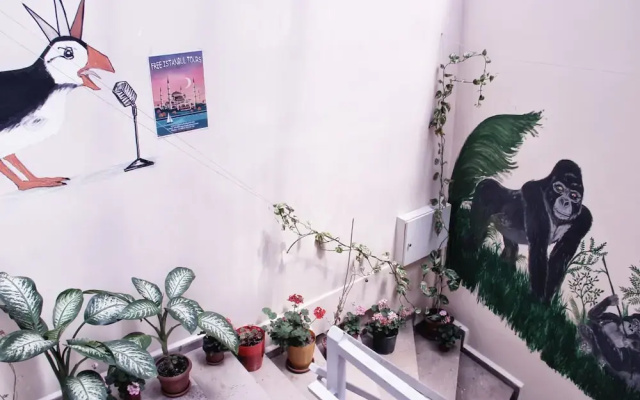 Puffin Hostel - Istanbul