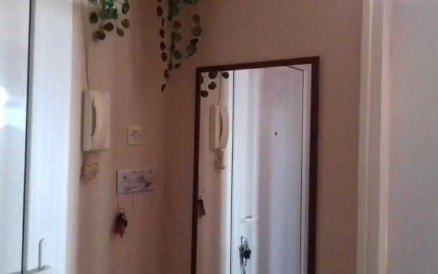 Apartments Katica