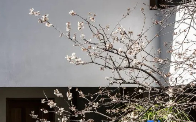 Old Town of Lijiang · Kuanshang Hotel