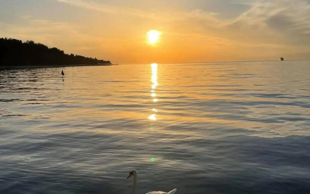 Sun & Love Apartment