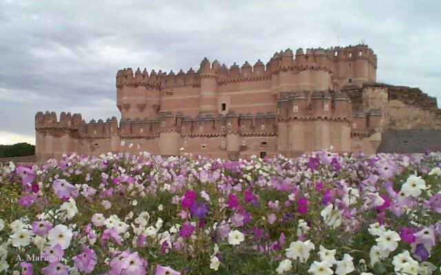 Albergue Villa De Nava de La Asunción - Hostel