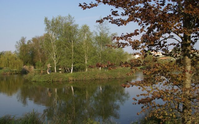 L'Appartement de la Villa l'Olivier