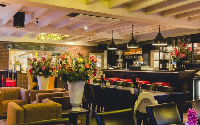 Beautiful Wooden Tree House With Terrace