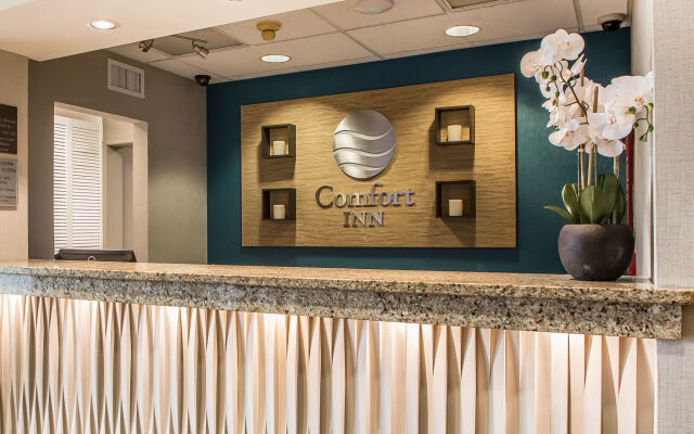 Comfort Inn South - Springfield