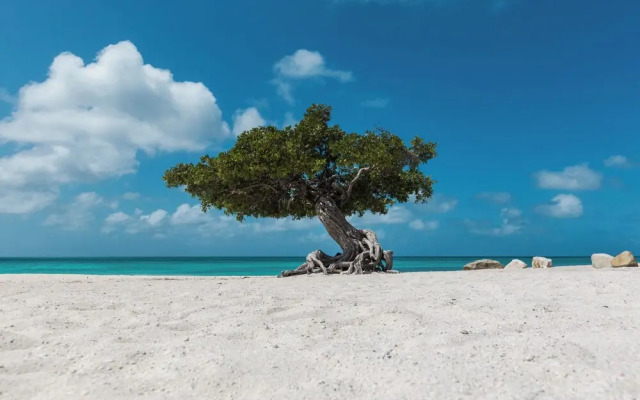 Little Paradise #2 - Yuwana