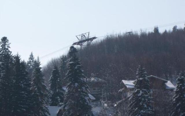 Hotel Silvia Apart Sinaia