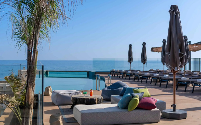 Minos Ambassador - Adults only