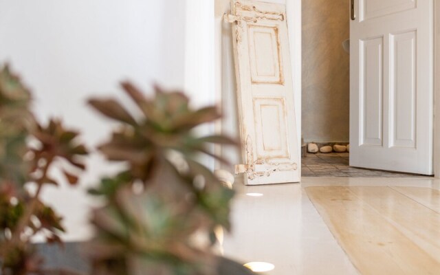 Ortus Navy Mykonian Lux Villa