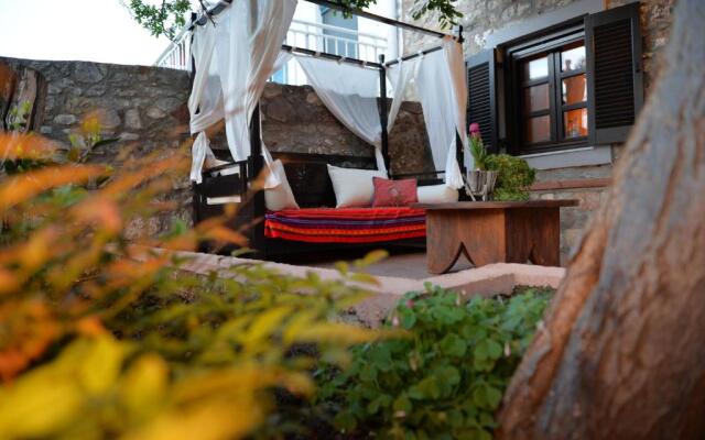 The fig tree house