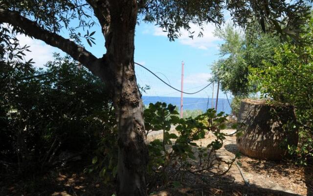 Aris House - Cretan Hospitality