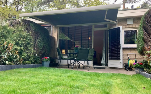 Wilde Moeflon, geniet van de vrije natuur!