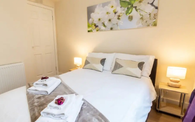 Mycosy near the Park