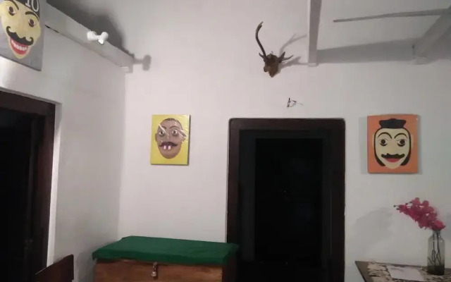 The Jungle House