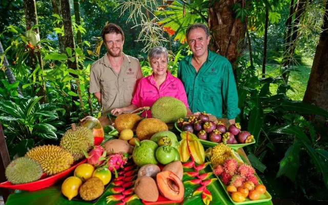 Cape Trib Farmstay