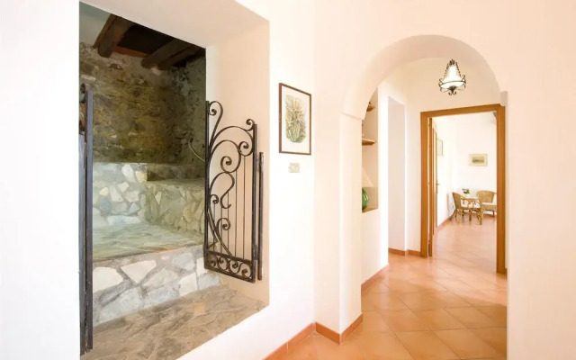 Awesome Home in Cetraro With 2 Bedrooms