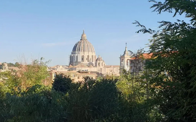 Delmirani's Book Apartments - Vatican View