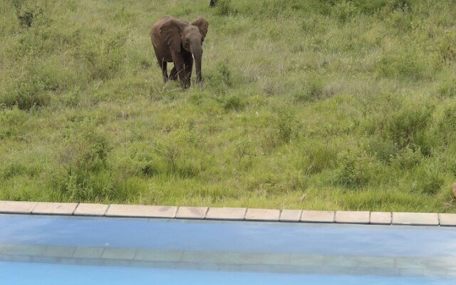 Spirit Of The Masai Mara