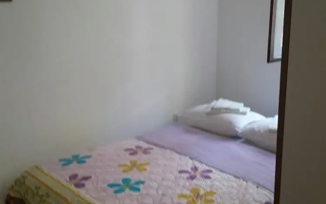 Apartments Andjus