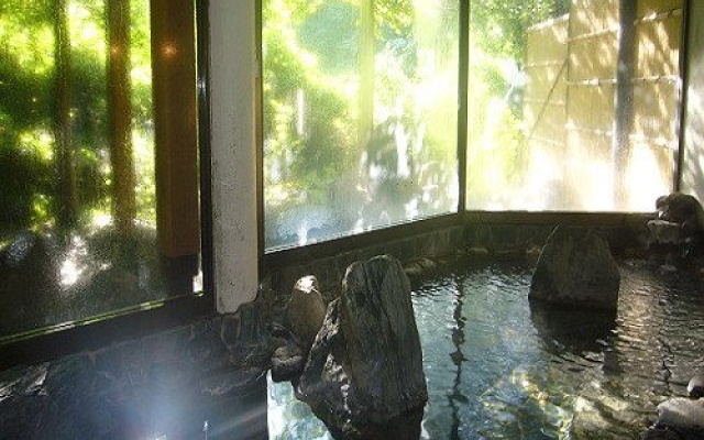 Hatago Shinden – Pool – Minakami