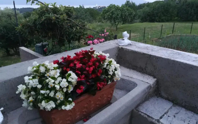 Apartment Belici