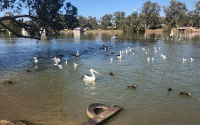 Mildura, Buronga Riverside Holiday & Caravan Park