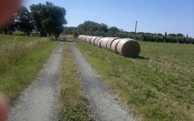 Agriturismo Il Selvello