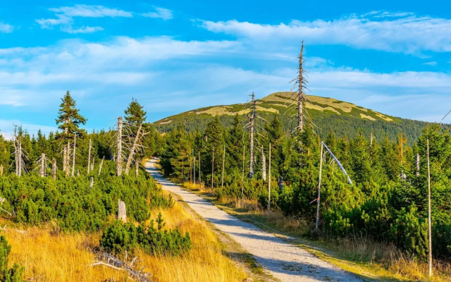 Cihlarka Mountain View Apartment
