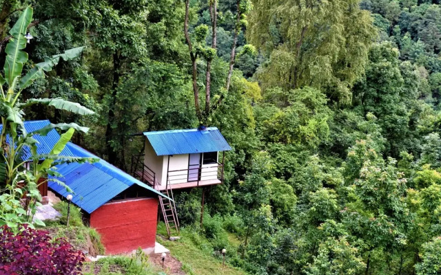 Jungle Crown Organic Homestay
