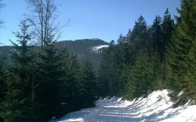 Gasthof - Pension Schamberger