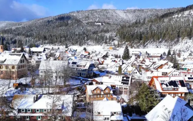 Ferienwohnung Vogelnest im Schwarzwald