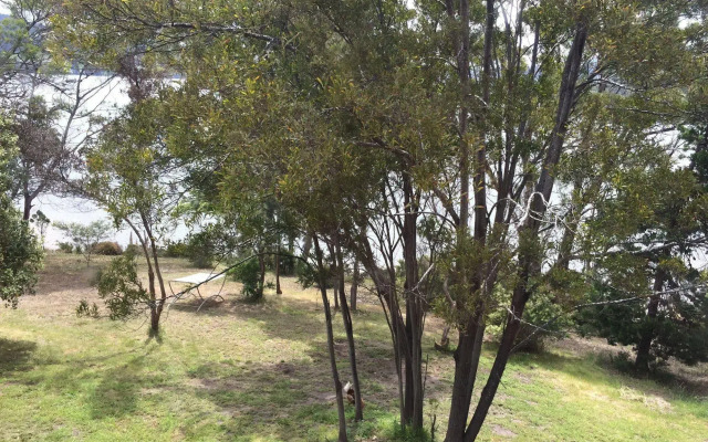 Tranquil Point