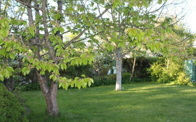 Lutzi´s Ferienwohnung