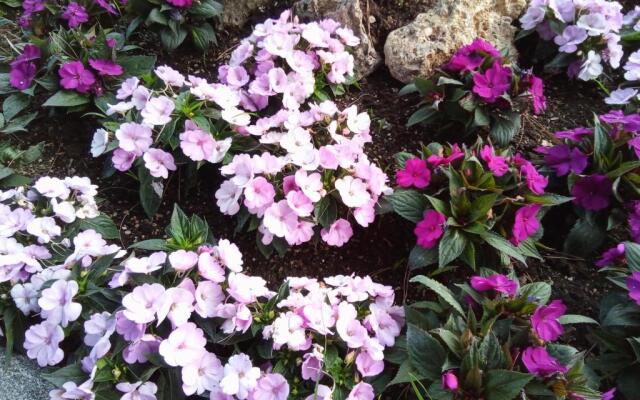 VILLA MONICA Diano San Pietro (IM) Italy