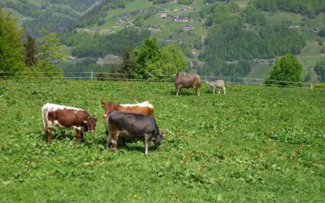 Maisäß Lifinarblick