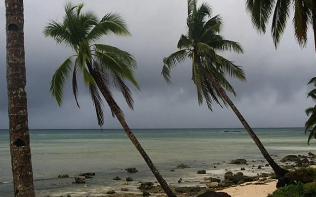 Tarzan's Beach Resort