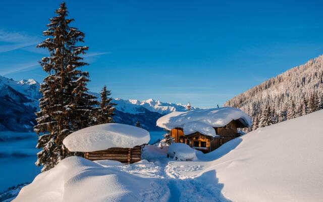 Cozy hut in Pinzgau with Finnish sauna