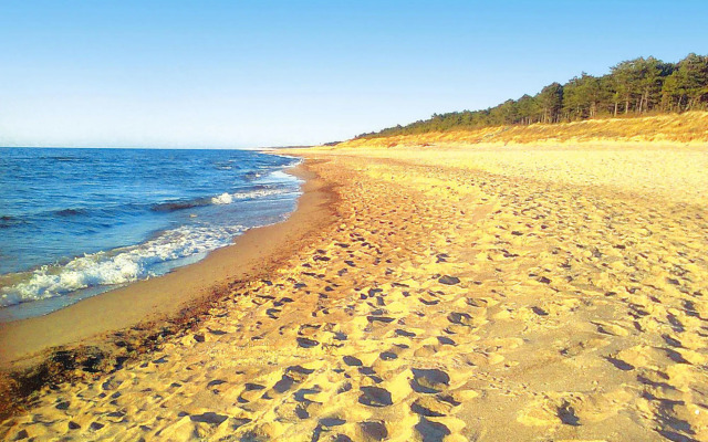 Holiday Homes, Gleznowko
