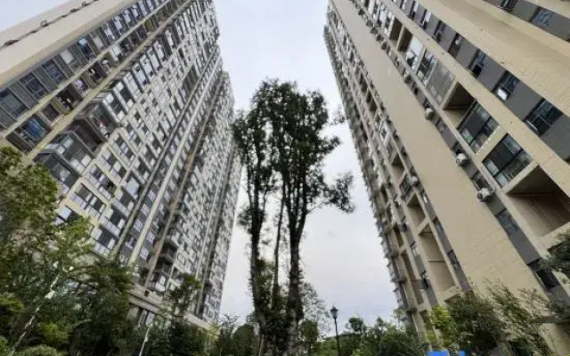 Yueyang Tower Qiyue Homestay