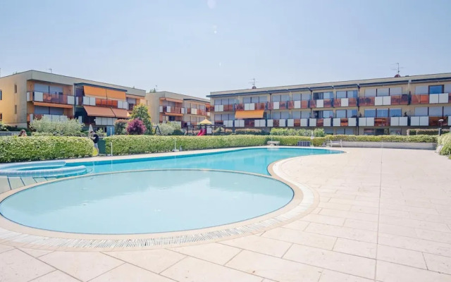 Benacus - Italian Homing