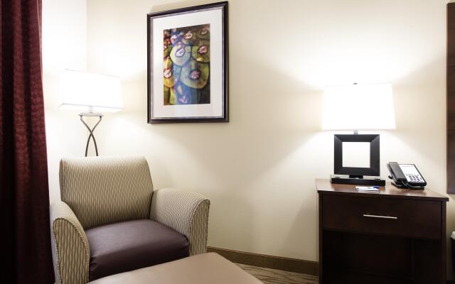 Holiday Inn Express & Suites Aiken, an IHG Hotel