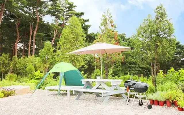Gangneung Herbhill House Pension