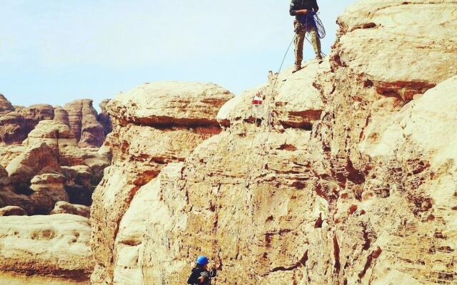 Bedouin habits tours camp