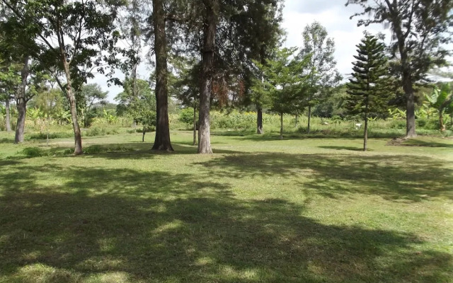 Kaswende Farm