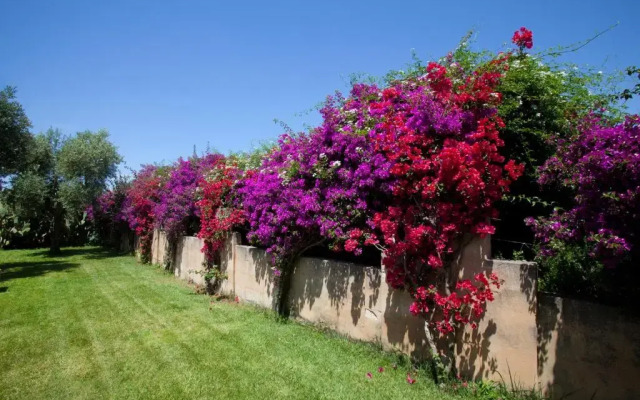 Masseria Li Foggi
