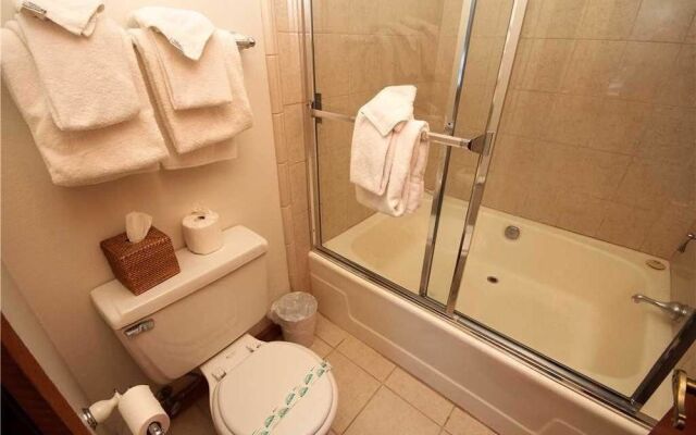 Mountainback #45, Den