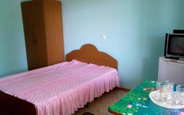 Guesthouse on Zelenaya 7