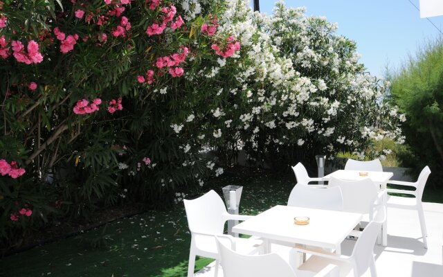 Vicky's Garden
