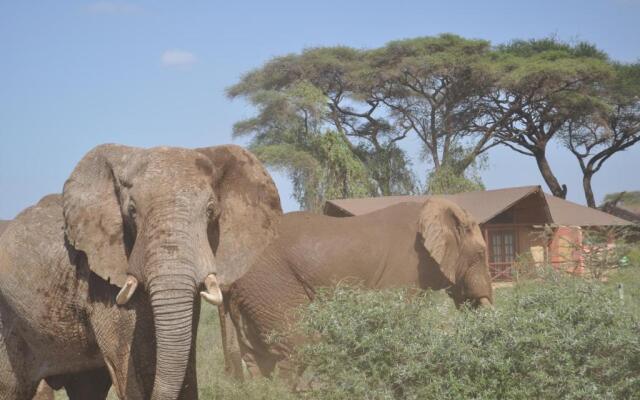 Kilima Safari Camp