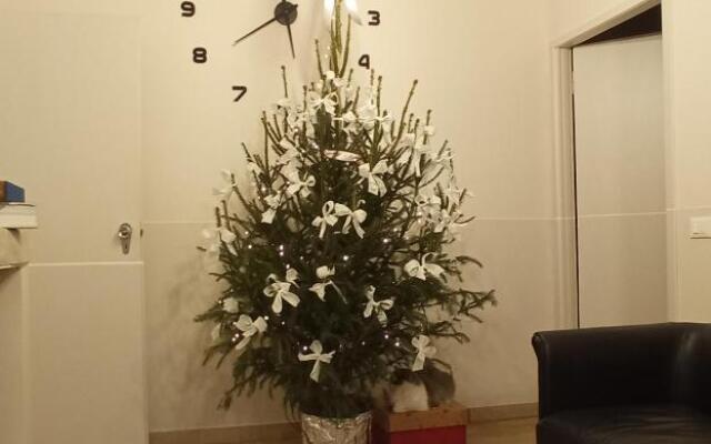 Ad Astra Rooms