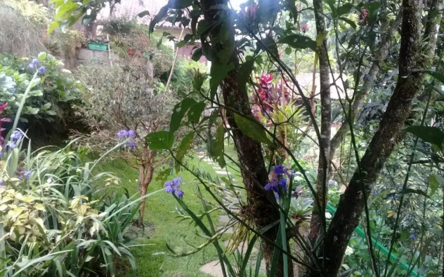 Chalé charmoso e aconchegante em Visconde de Maua